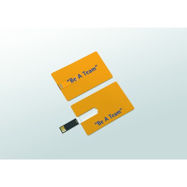 USB Card 16 GB personalizare POLICROMIE