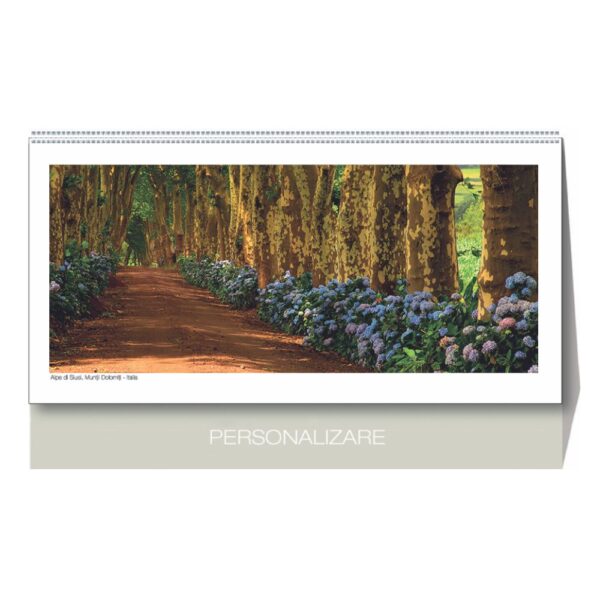 Calendar 2025, pentru birou – ALEI