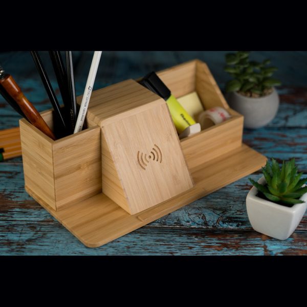 Organizator birou Lubin