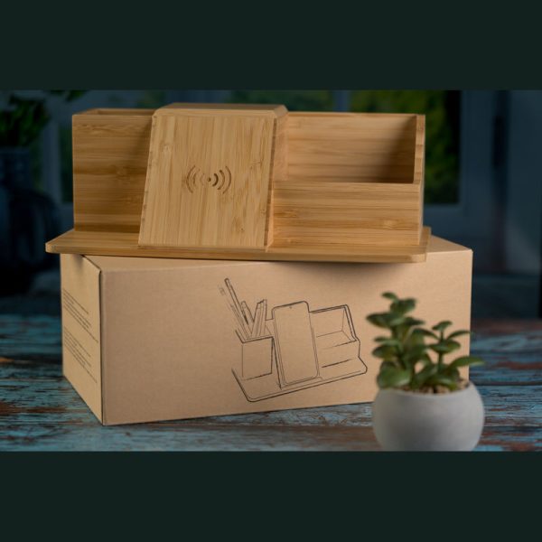 Organizator birou Lubin