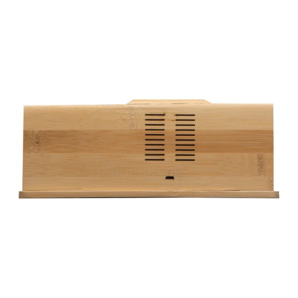 Organizator birou Lubin