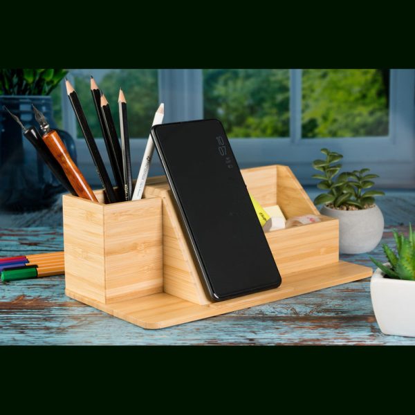 Organizator birou Lubin